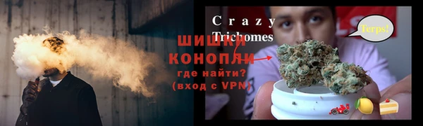 крисы Балахна