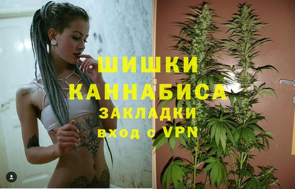 крисы Балахна