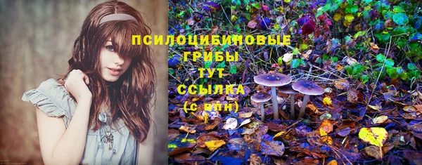 спиды Баксан
