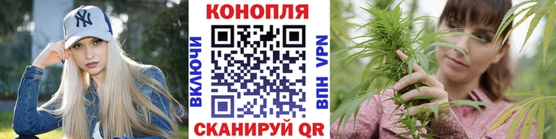 Марихуана Bruce Banner  Геленджик 